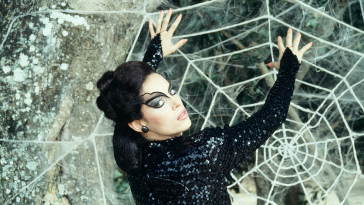 Cartaz do filme O Beijo da Mulher Aranha